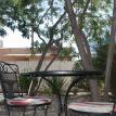 Heritage Home Court Yard